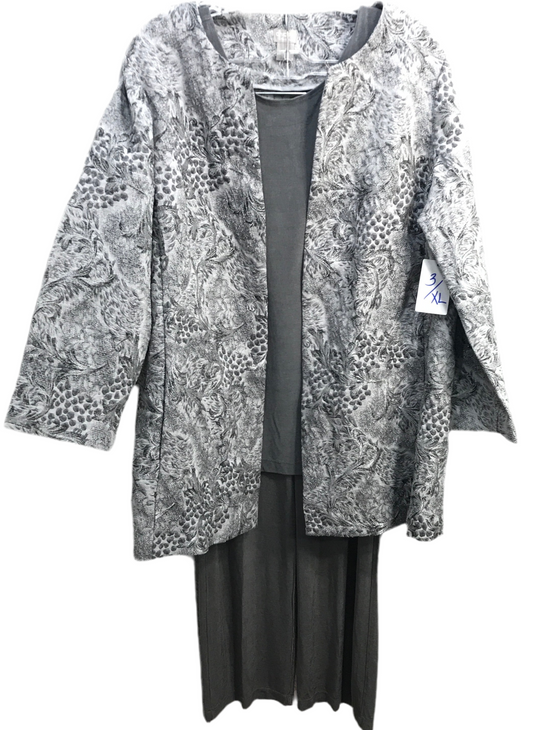 Chico's 3 PC Outfit Metallic Silver Travelers Pants & Tank Top with Beautiful Silver Dress Jacket Ladies 3