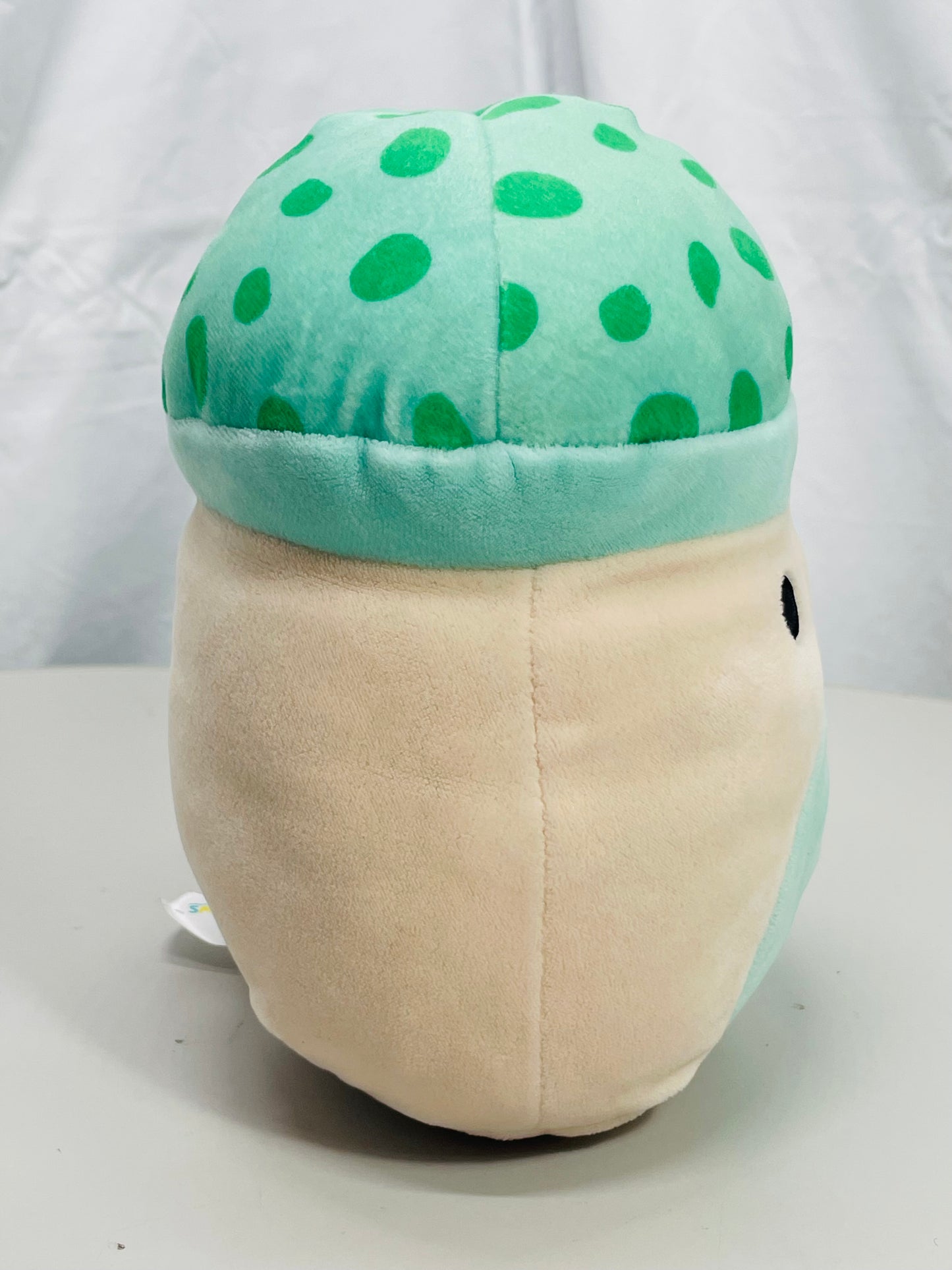 Squishmallows 8" Sydney Teal Green Mushroom LT WEAR Freshly Laundered