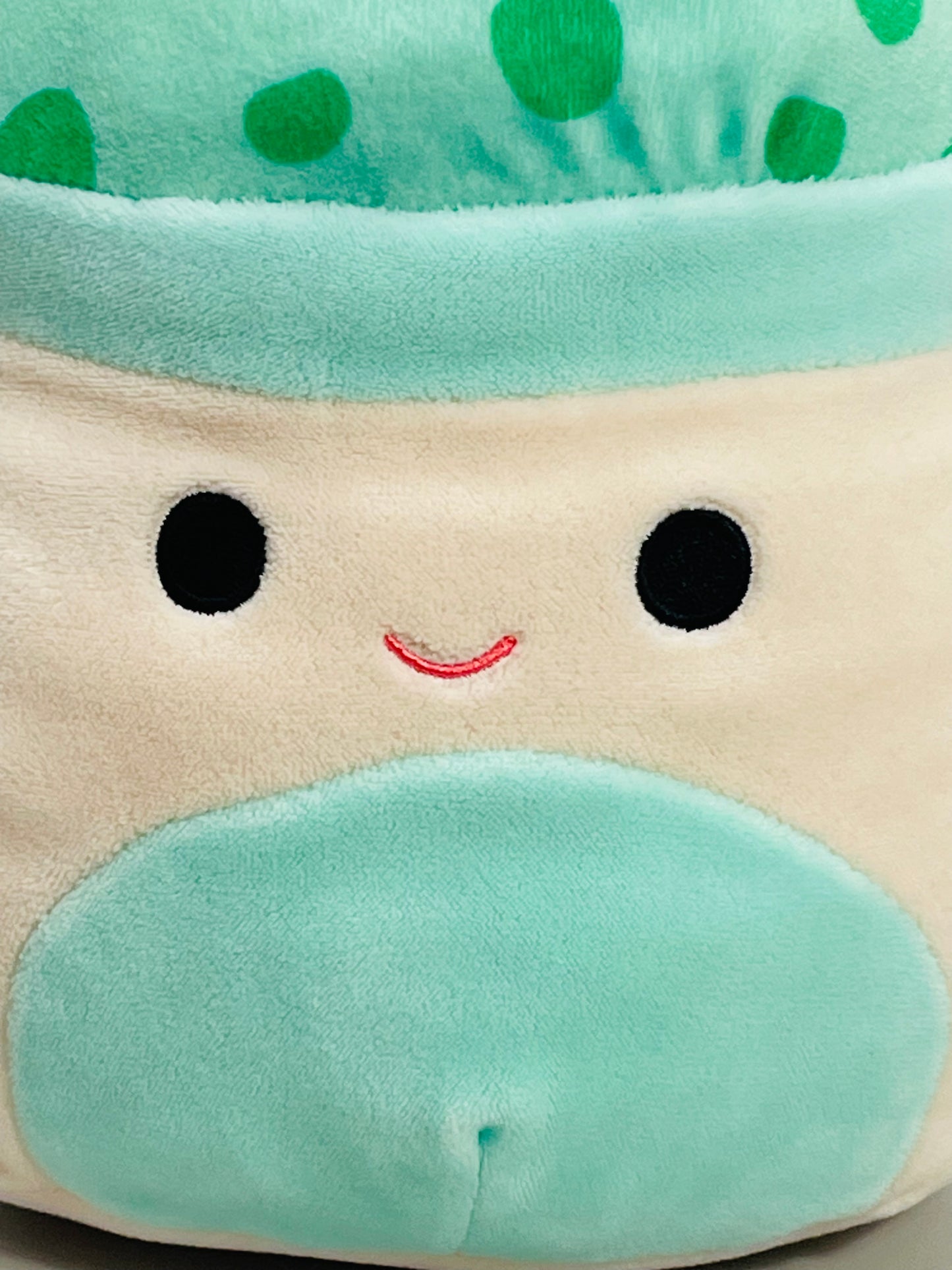 Squishmallows 8" Sydney Teal Green Mushroom LT WEAR Freshly Laundered