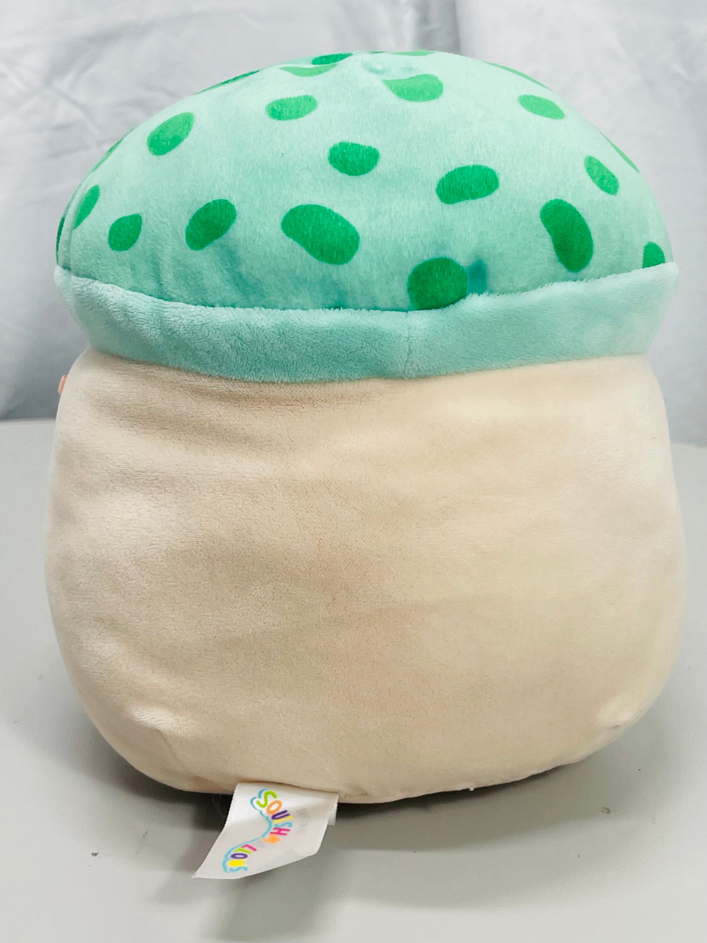 Squishmallows 8" Sydney Teal Green Mushroom LT WEAR Freshly Laundered