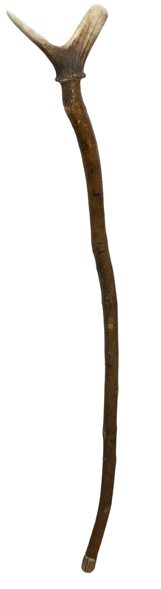 Handmade Wood Cane w/ Antler Handle 36"